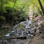 Dunning's Spring Park