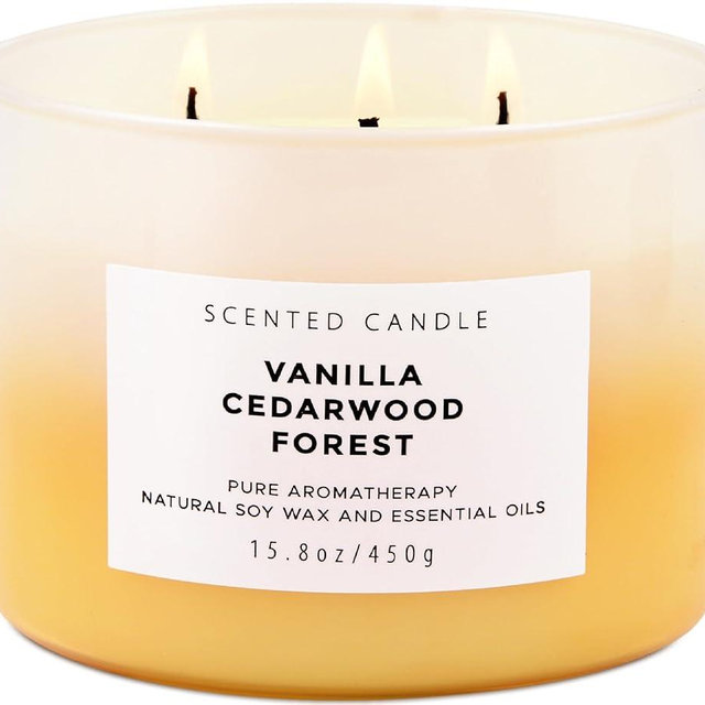 Vanilla Cedarwood Forest 3-Wick Scented Soy Candle | 15.8 oz | Large Forest Aromatherapy Candle for Home Fragrance | Stress Relief & Relaxation | Fall Candle Gift