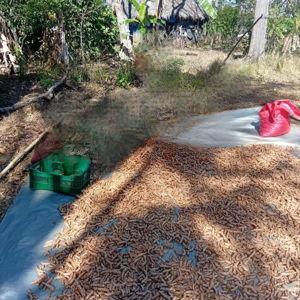 Match Our Donation to LIFT in Central America