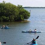 Tarpon Bay Explorers
