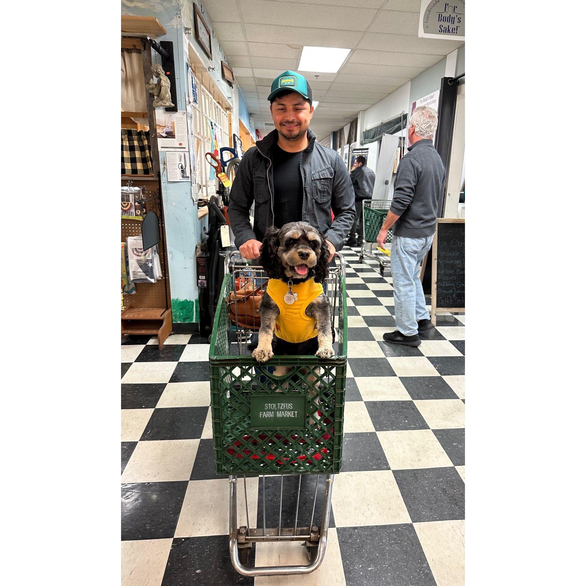 Future Dog Dad