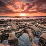 La Jolla Tide Pools
