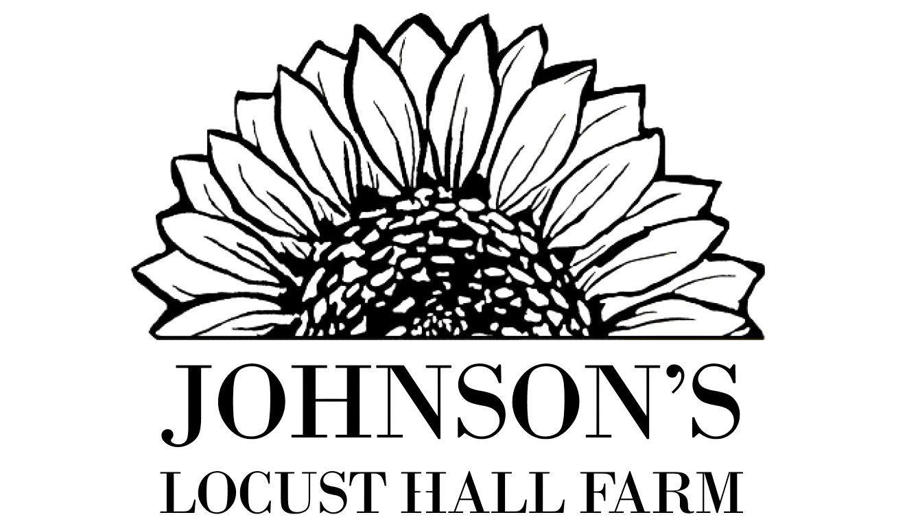 Footer image