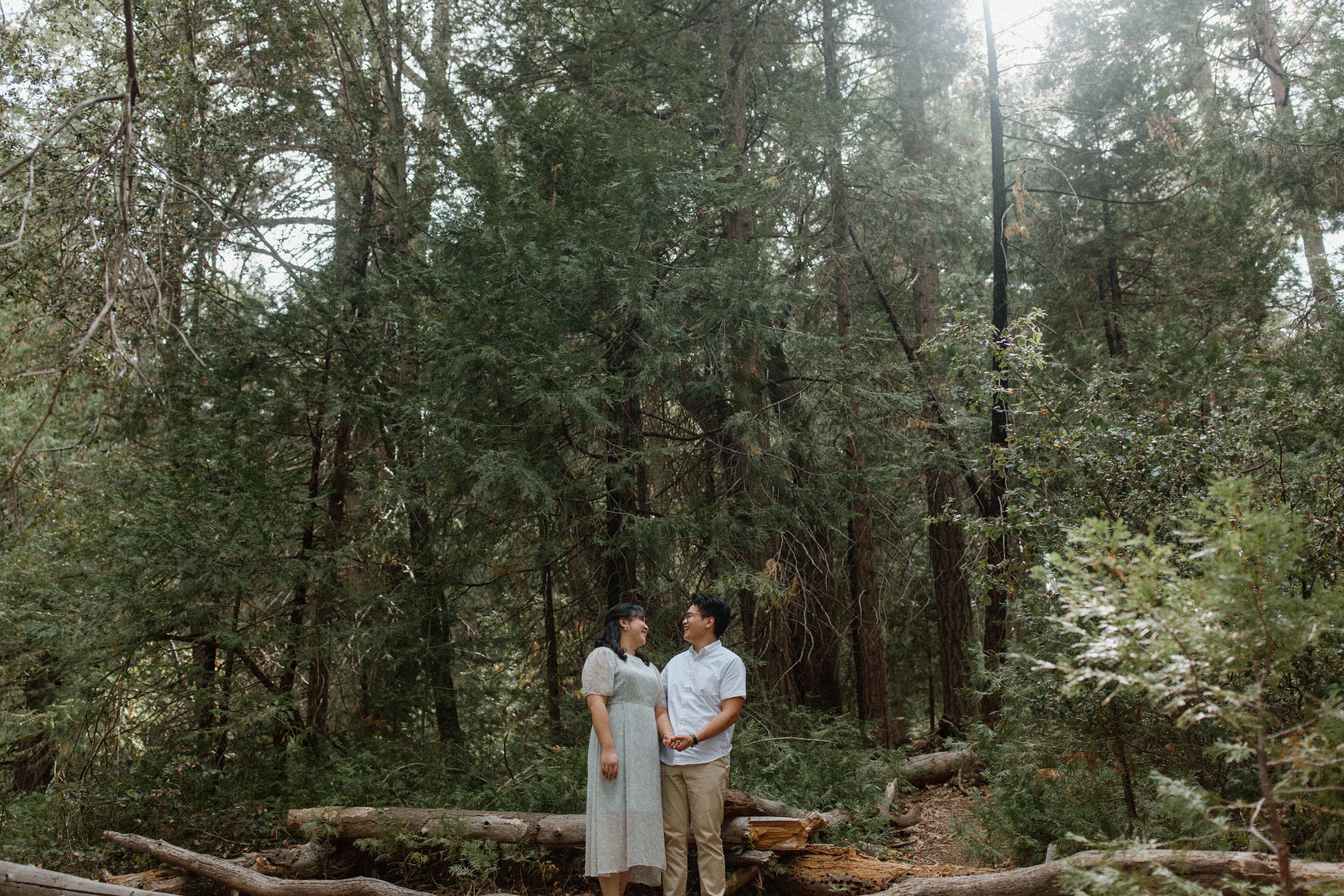 The Wedding Website of Dohee Jane Park and Jeffrey Yeum