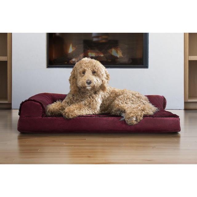 Arvizu Plush and Velvet Deluxe Bolster Bolster