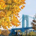 Palisades Interstate Park Commission: Ross Dock Picnic Area