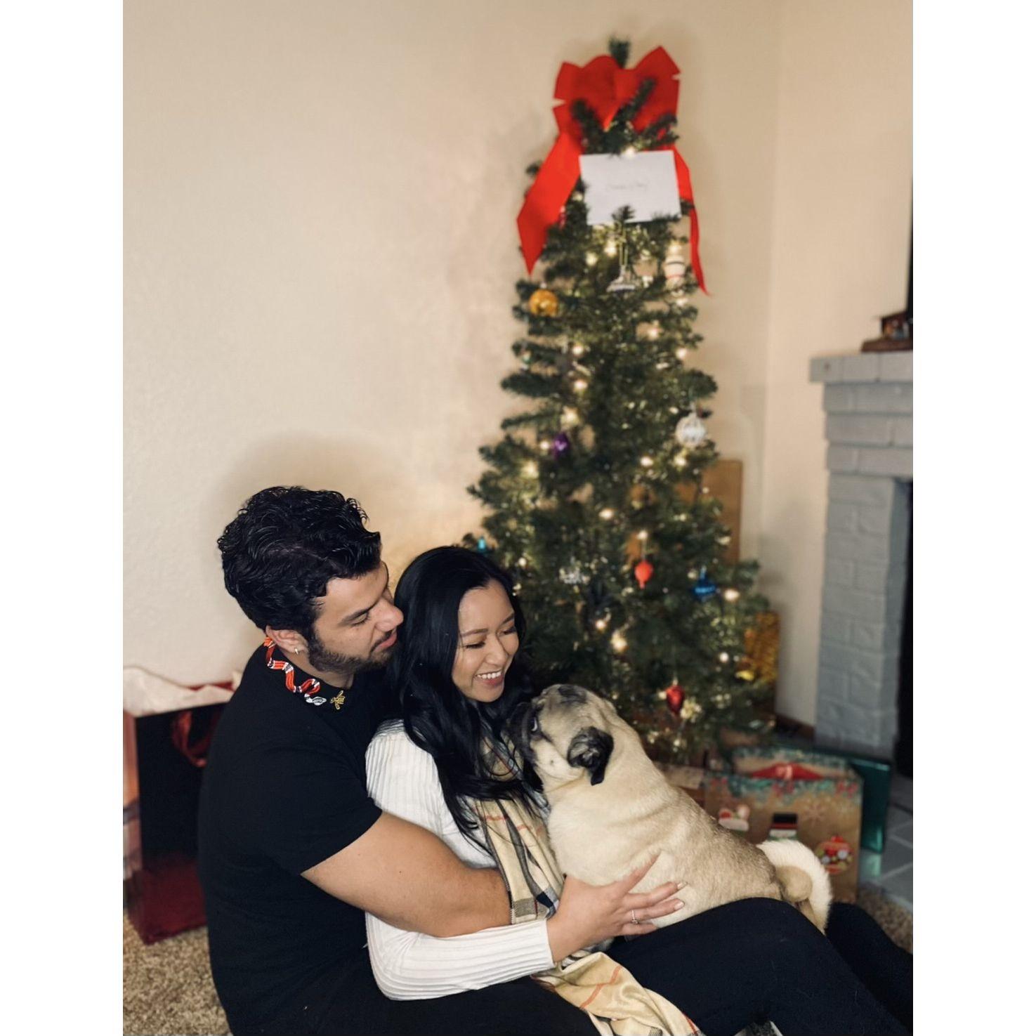 Our first Christmas in our first apartment