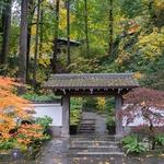 Portland Japanese Garden