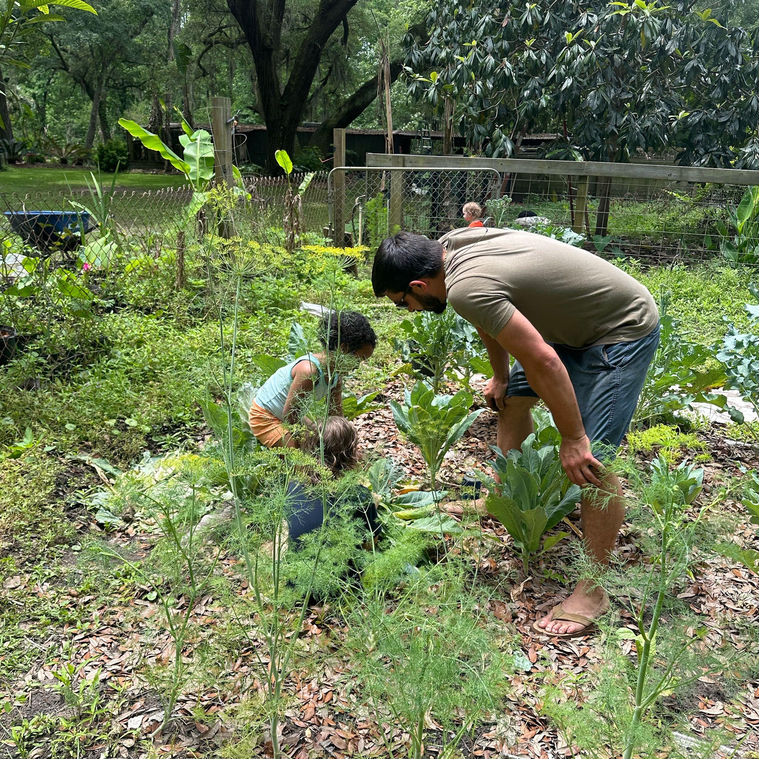 Garden Fund