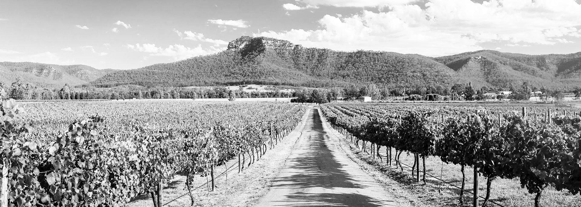 The Wedding Website of Nikkie Warren and Adam Chapman