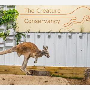 Ann Arbor Creature Conservancy Membership