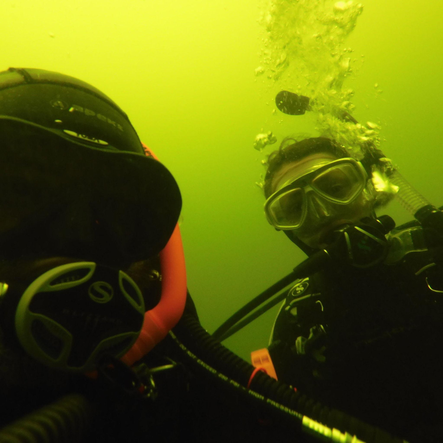 Maine diving.