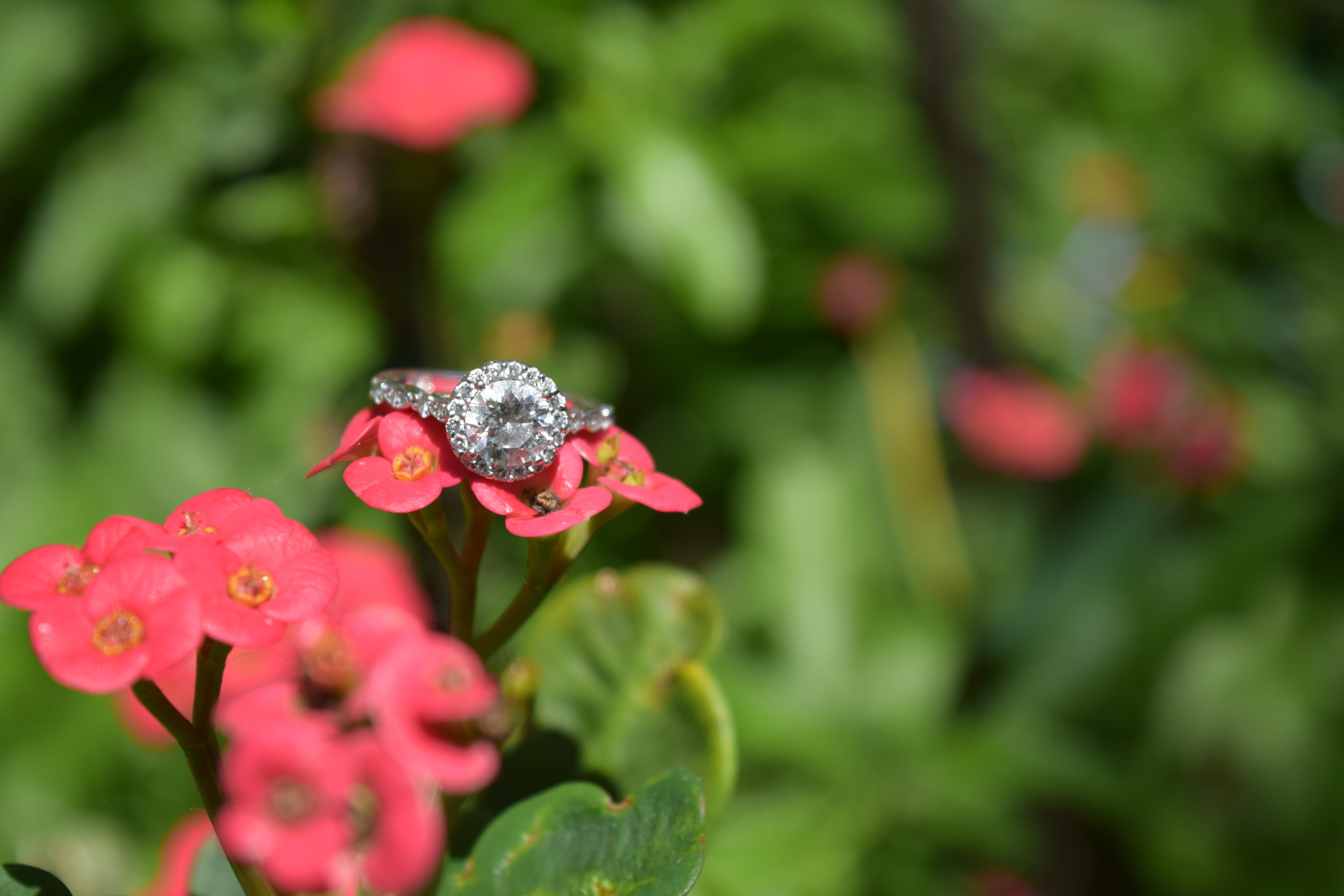 The Wedding Website of Paige Borcyk and Brandon Hidalgo
