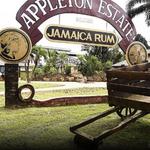 The Joy Spence Appleton Estate Rum Experience