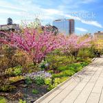 The High Line