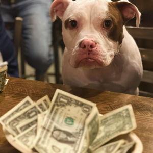 Our newlywed fund