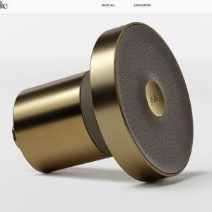 The Jolie Filtered Showerhead - Brushed Gold