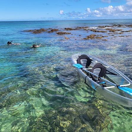 Sea life Kayak Tour for Two