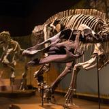 Tellus Science Museum