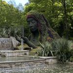 Atlanta Botanical Garden