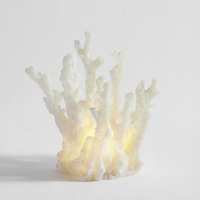 Lit Coastal Object, Finger Coral - White