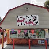 The Cow Lick