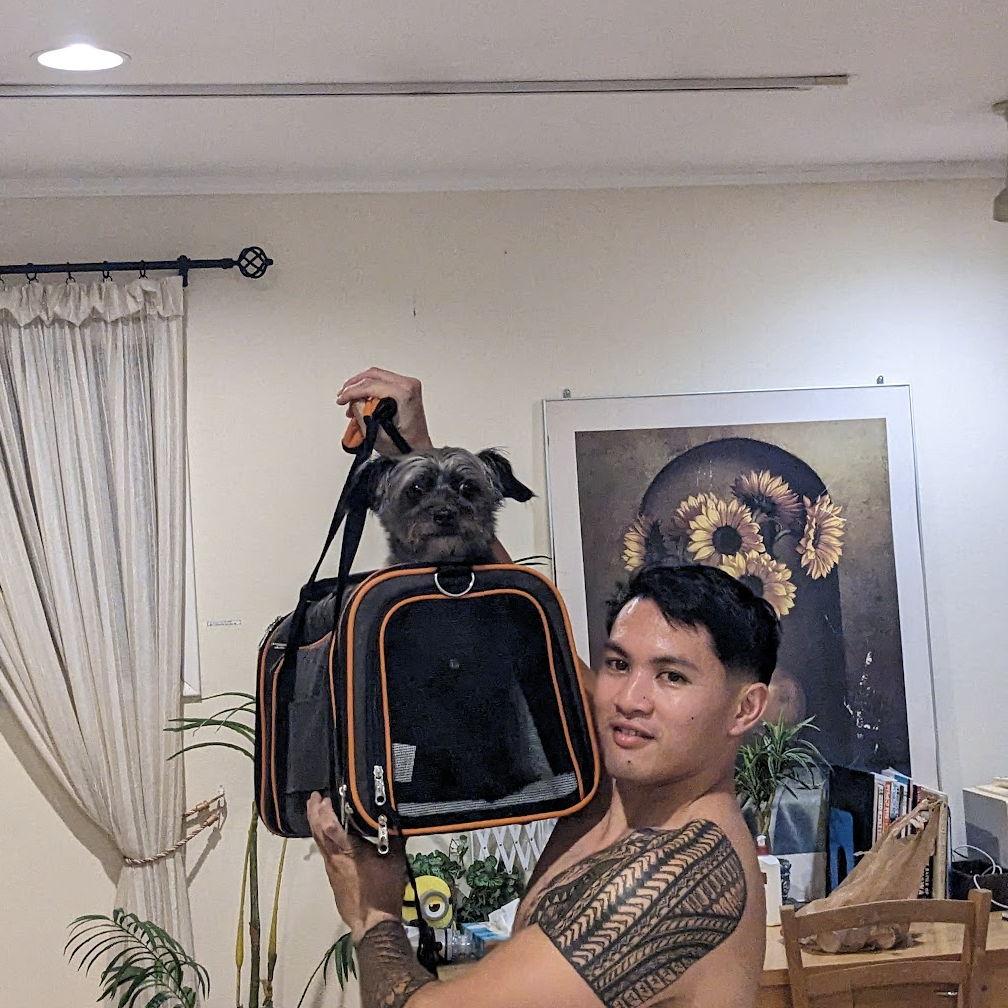 Turtle loved his travel carrier..........