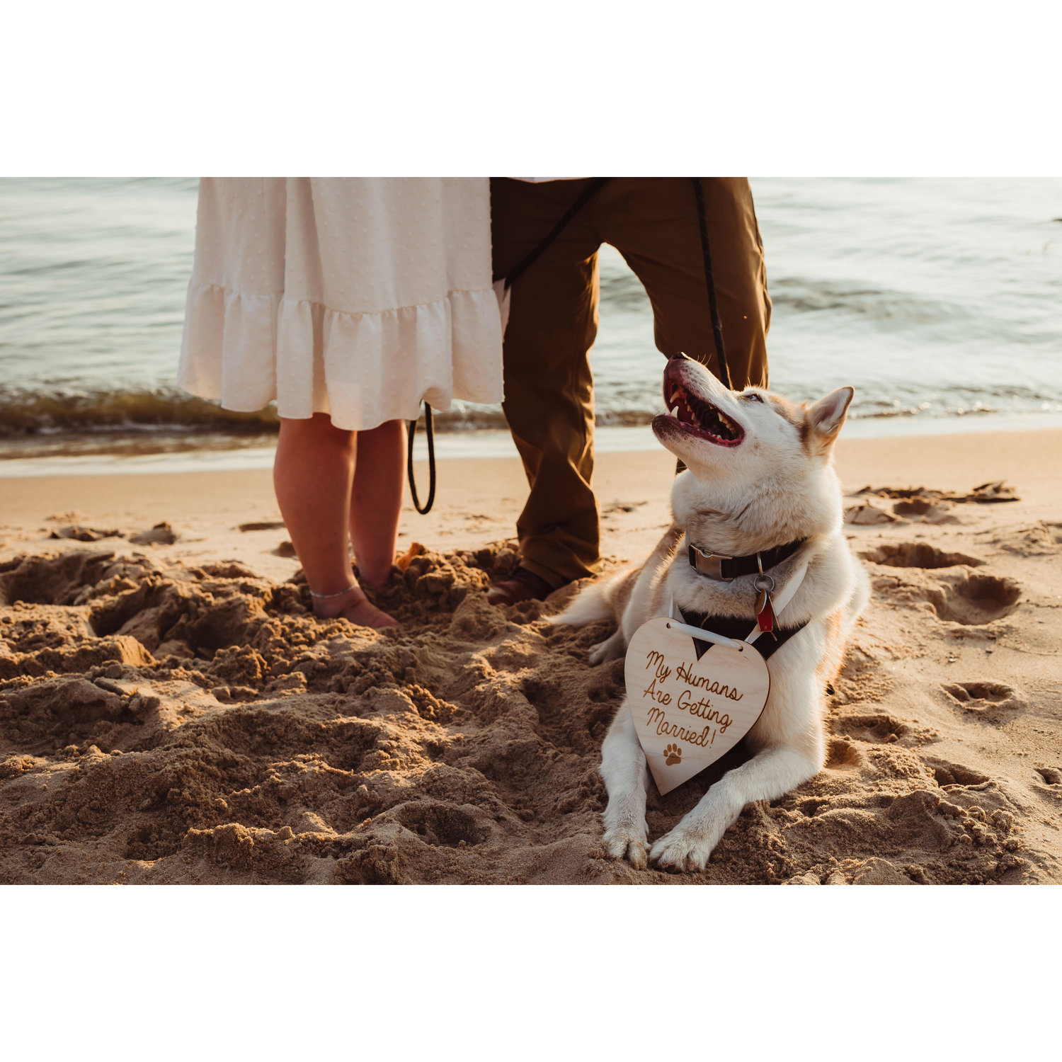 Engagement pictures by Lynzee Harrison Photography