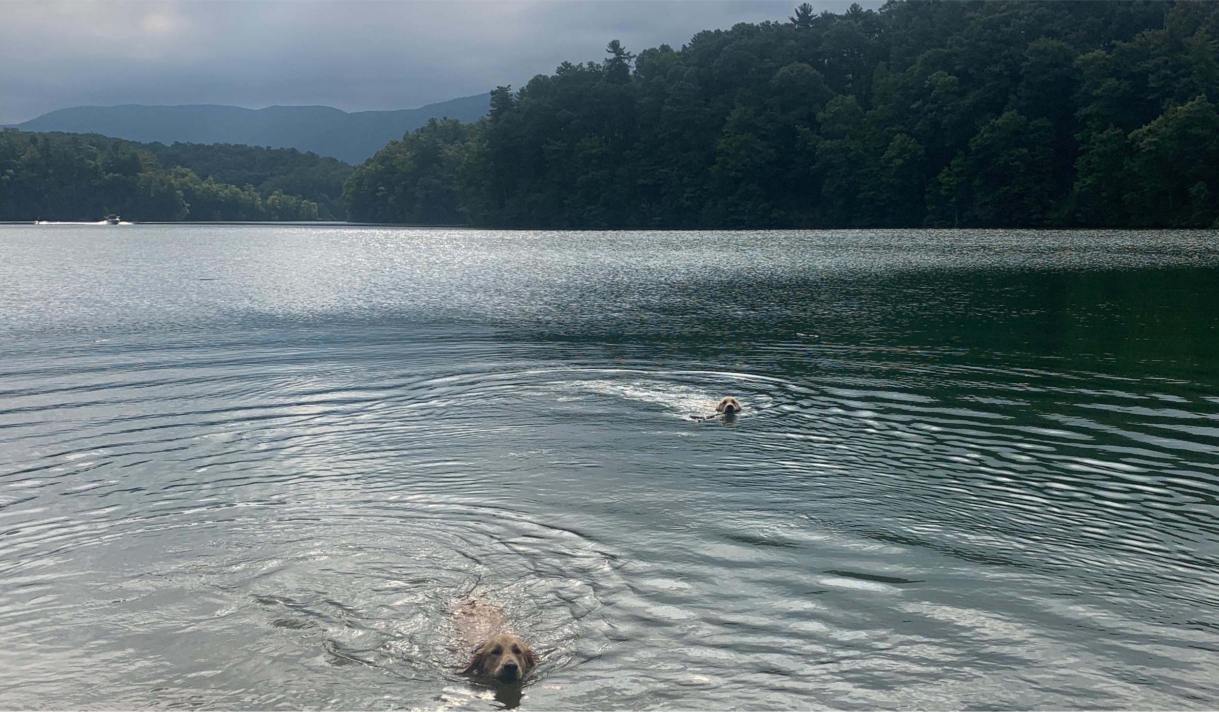 The Wedding Website of Laura Blanton and Brendan Tyler