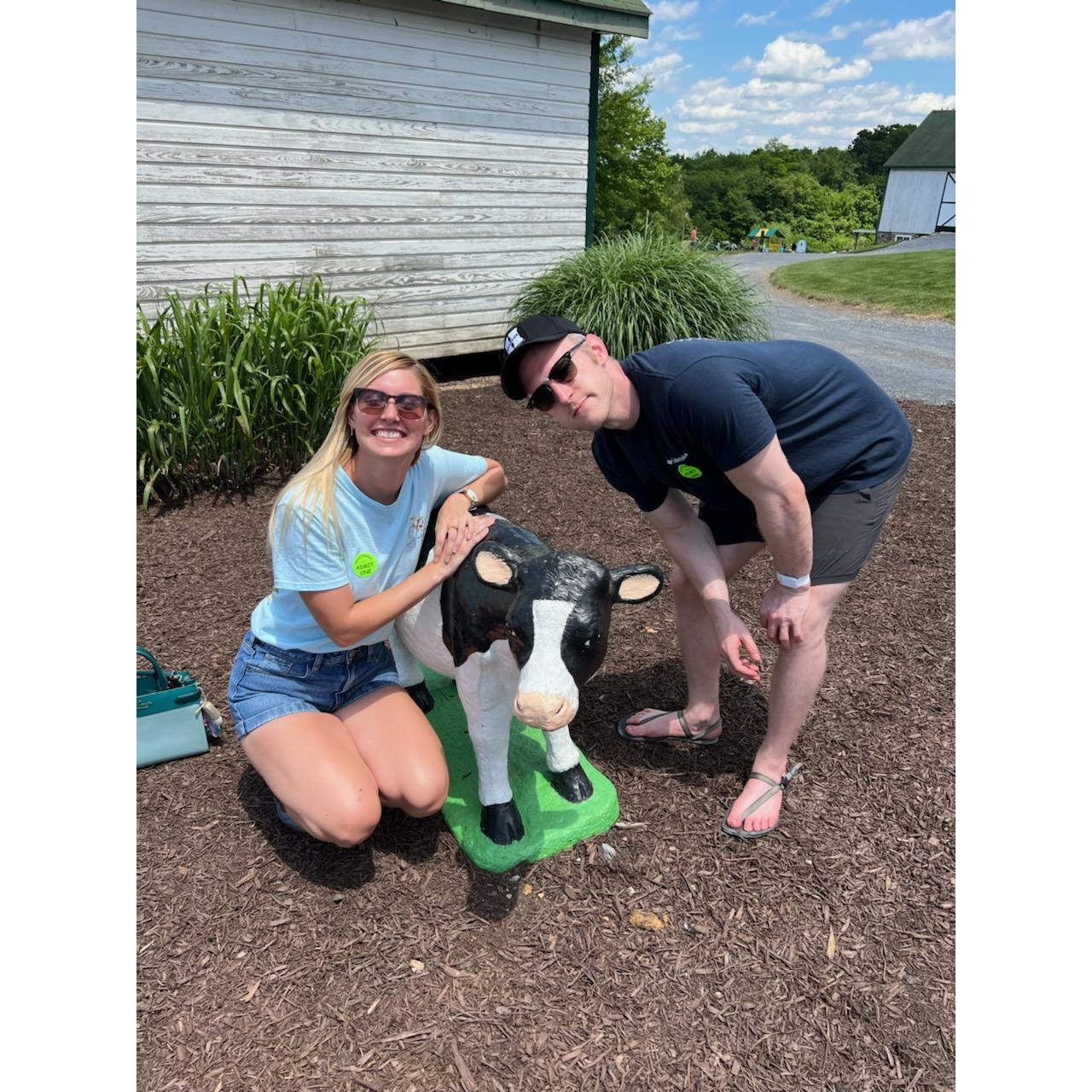 Visiting the Baylor's - found yet another cow
