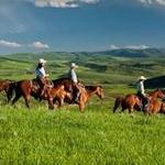 Saddleback Ranch - Horseback Rides