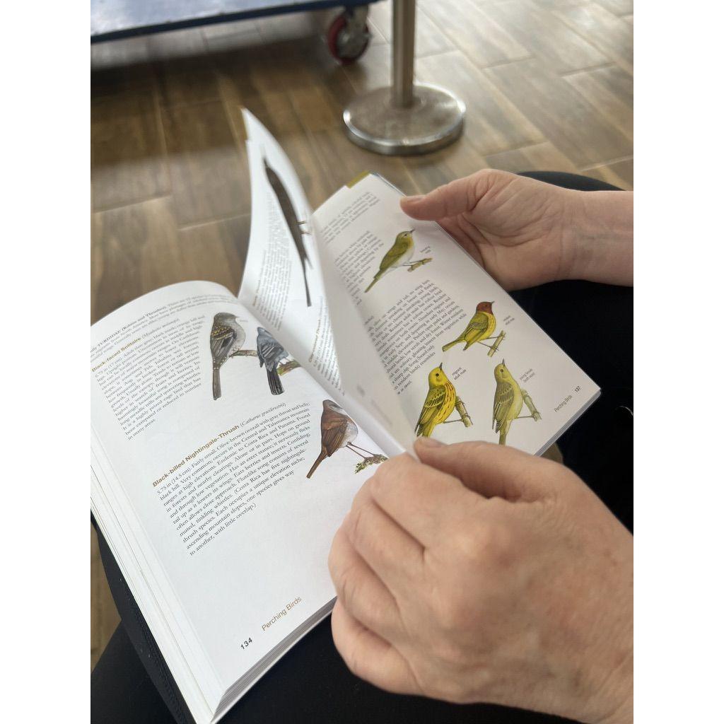 Don't forget your bird book!