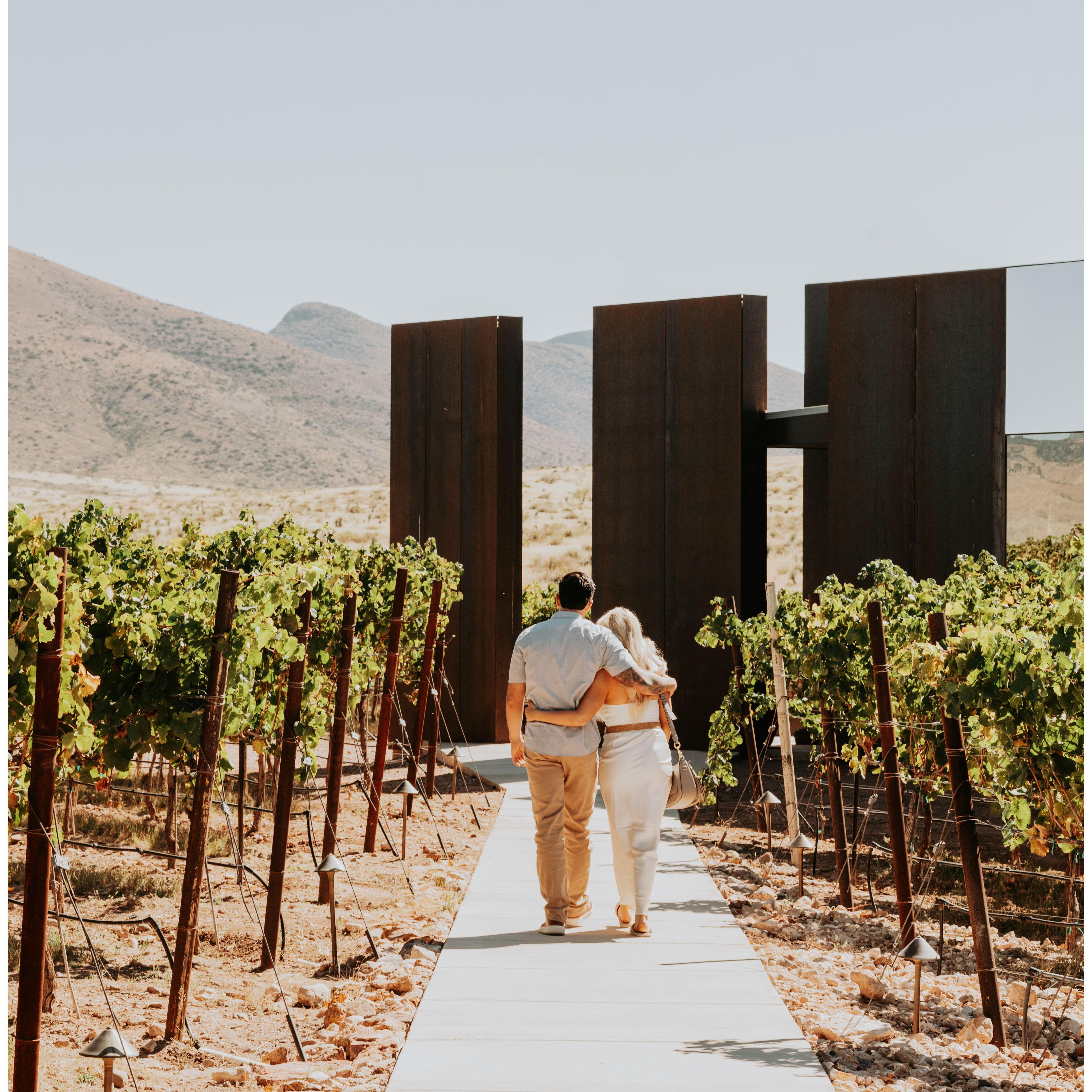 Walking up to the winery, little did I know he was about to get down on one knee!