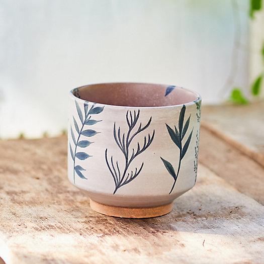 Botanics Ceramic Footed Planter, 6"
