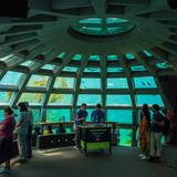 Seattle Aquarium