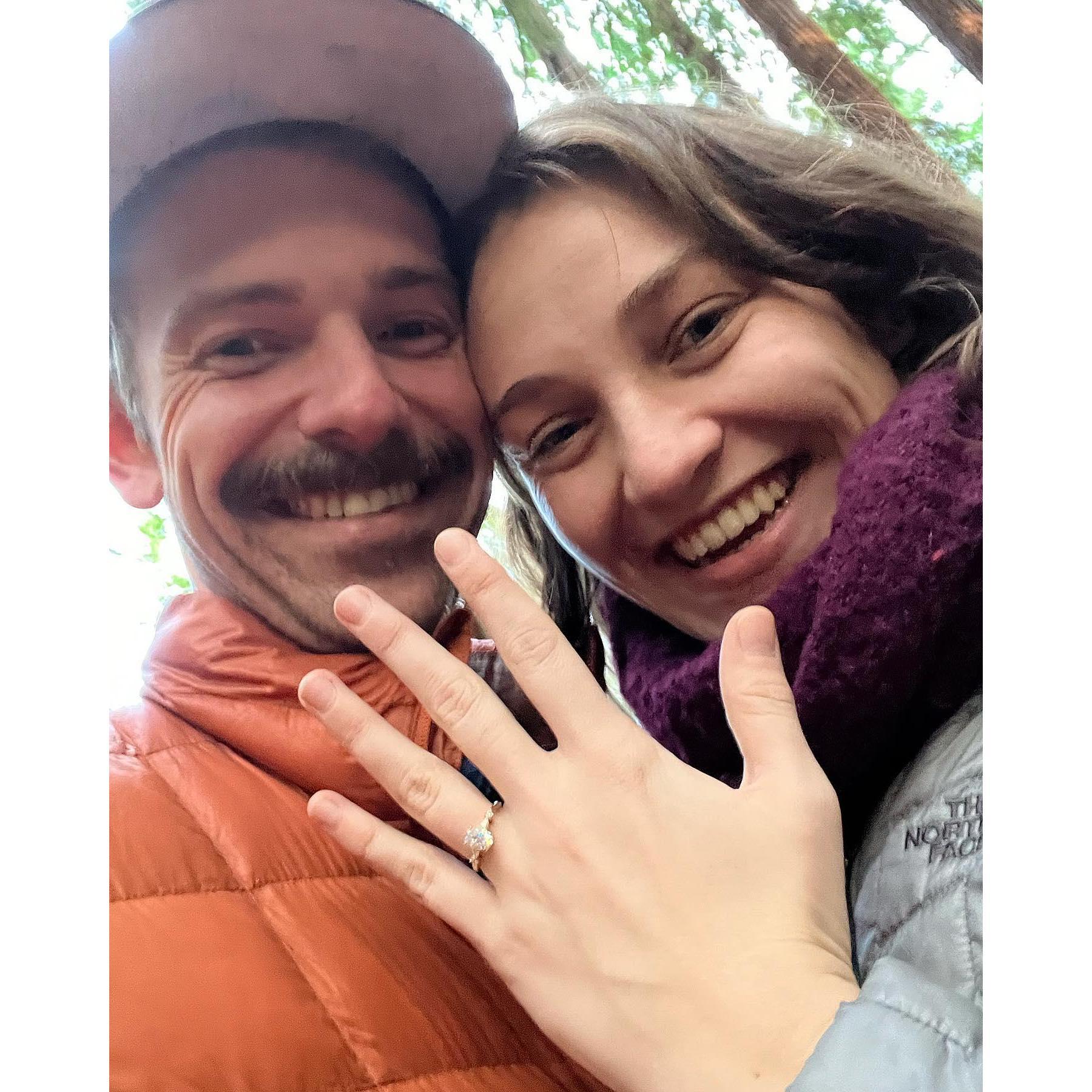 12.15.22 Engaged in Hendy Woods State Park, CA.