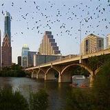Congress Avenue Bridge