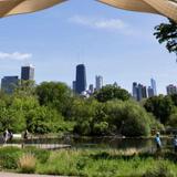 Lincoln Park Zoo & Lake Michigan