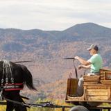 von Trapp Family Lodge & Resort