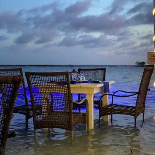 Dinner at Flying Fish Bone