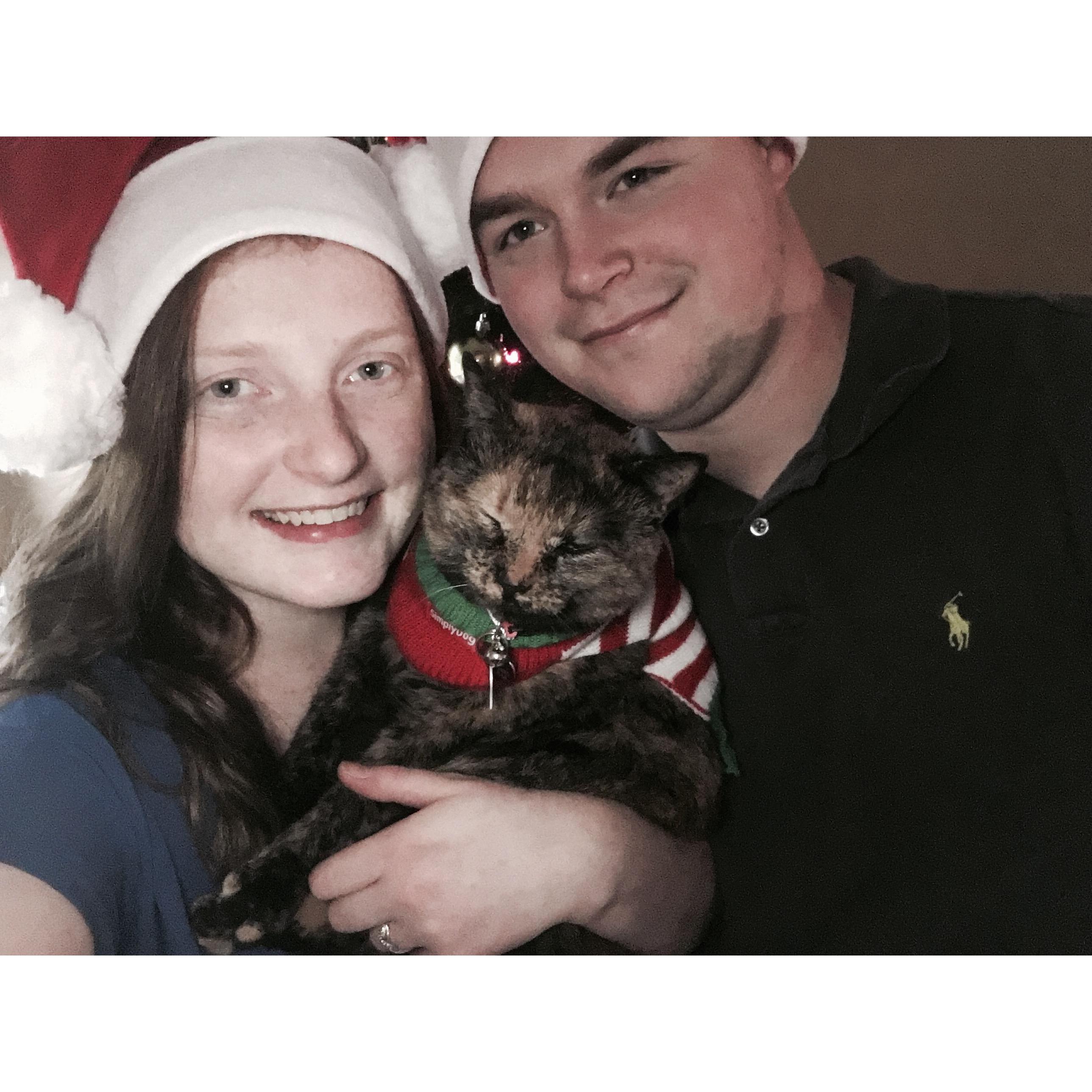 Christmas 2015 with Percy