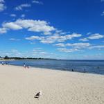 Compo Beach
