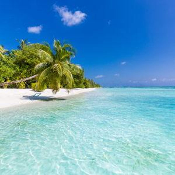 Honeymoon Fund