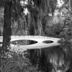 Magnolia Plantation