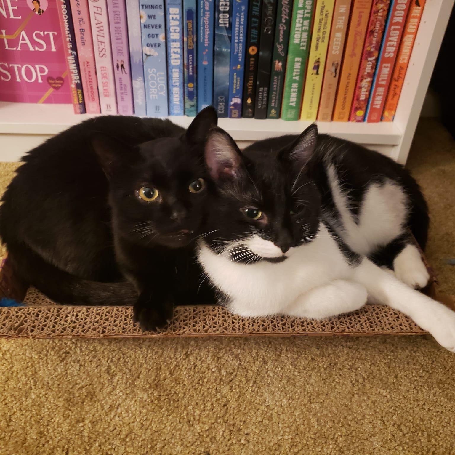 We adopted Winston & Gojo