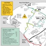 Bike Paths