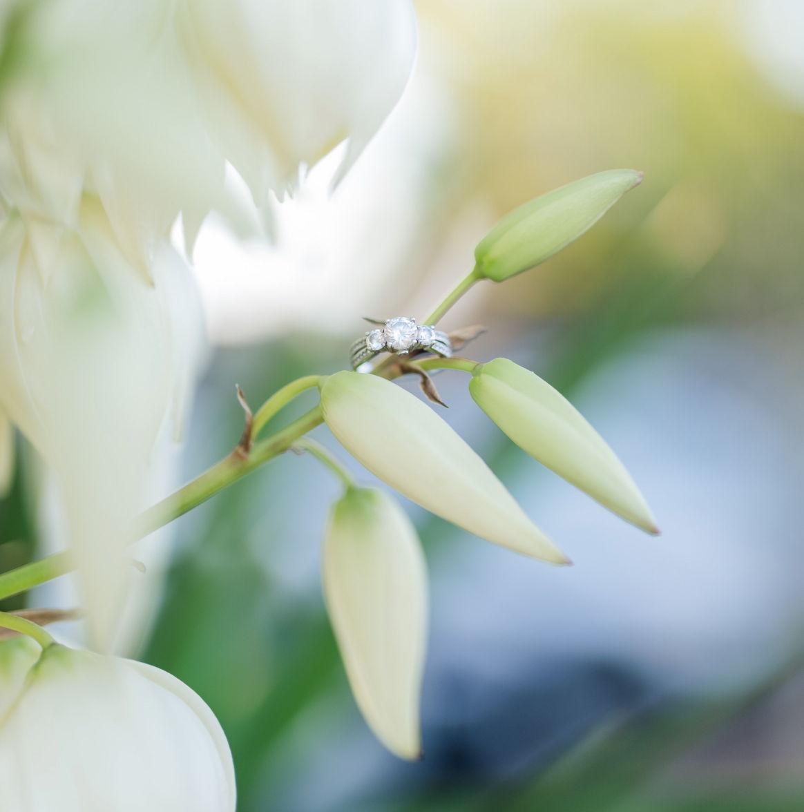 The Wedding Website of Kisha Lesane and Miguel Gonzalez