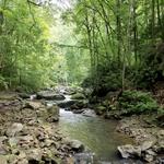 Kanawha State Forest
