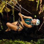 Xenotes