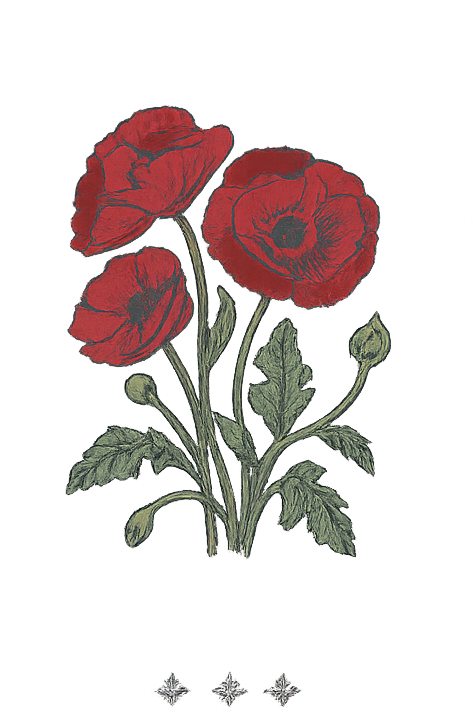 The Wedding Website of Andie Sweeney and Thomas O'Hara